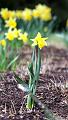 T-20150408-133715_IMG_6824 aaa
